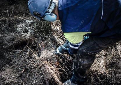 Bosch EXPERT 'Tough Wood' S 1242 KHM szablyafűrészlap