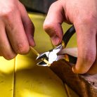 DELI Mini oldalcsípő 5“ DL20025