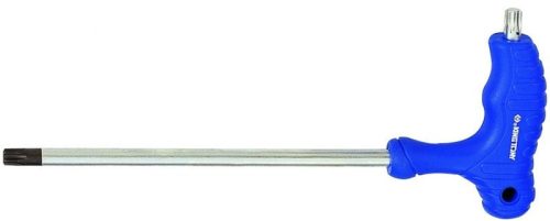 King Tony T-Torx T15x100mm