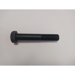 Hatlapfejű 10.9 csavar M20x1,5x120