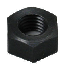 Hatlapfejű anya Nat.M12