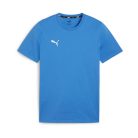 Puma teamGOAL póló (XXL)
