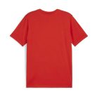 Puma teamGOAL póló (XXL)