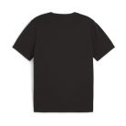 Puma teamGOAL póló (XL)