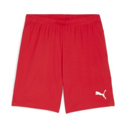 PUMA teamGOAL rövidnadrág