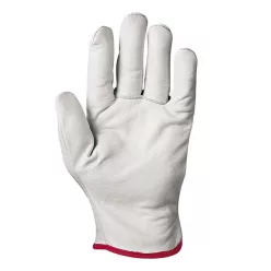 Sir Safety System CIPRO A bivalybőr védőkesztyű (10/XL)